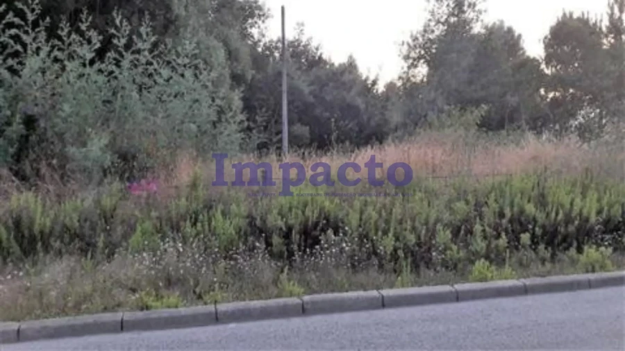 Terreno para Venda em O. Azeméis, Riba-Ul, Ul, Macinhata Seixa, Madail Foto 2