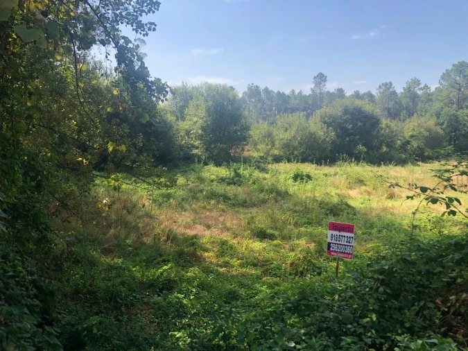 Terreno para Venda em Caldas de São Jorge e Pigeiros Foto 4