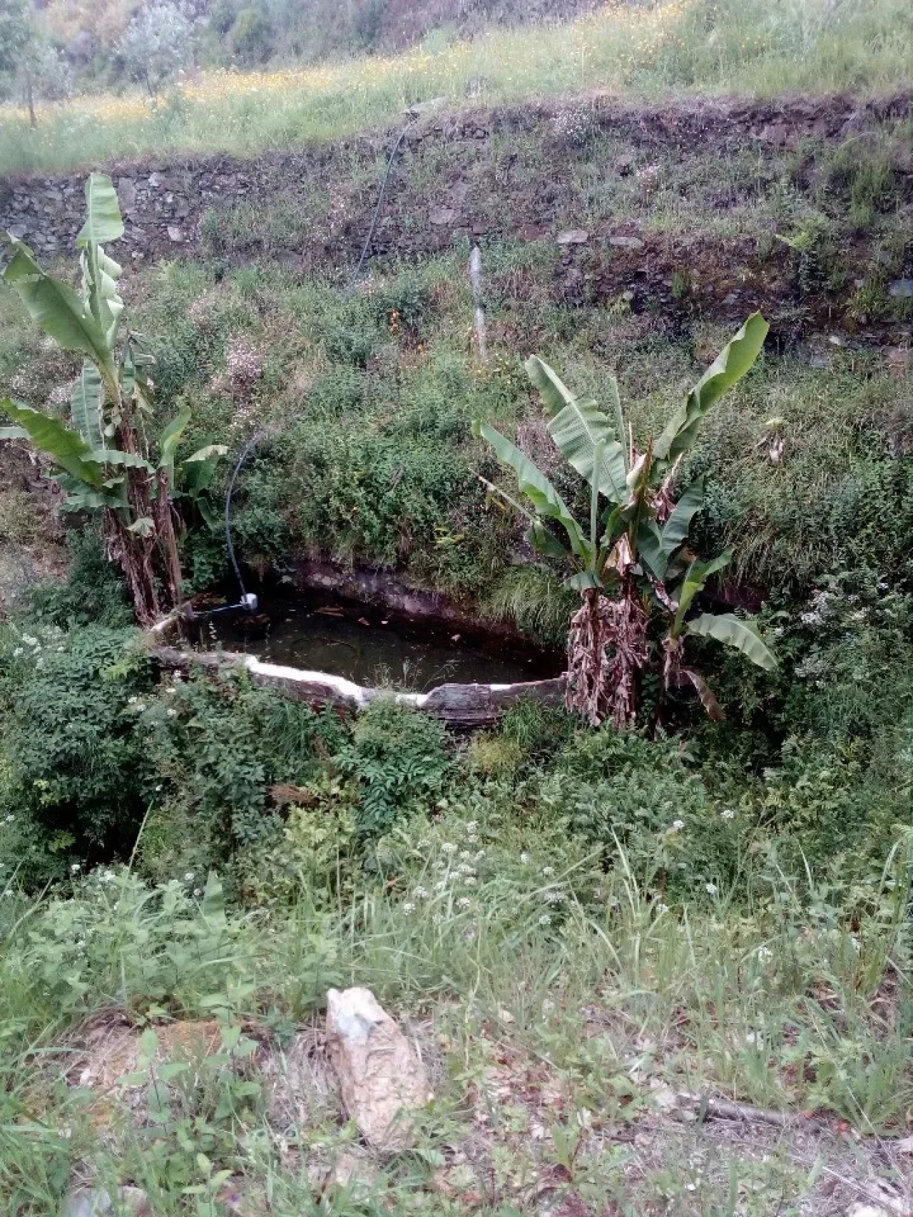 Terreno para Venda em Canelas e Espiunca Foto 12