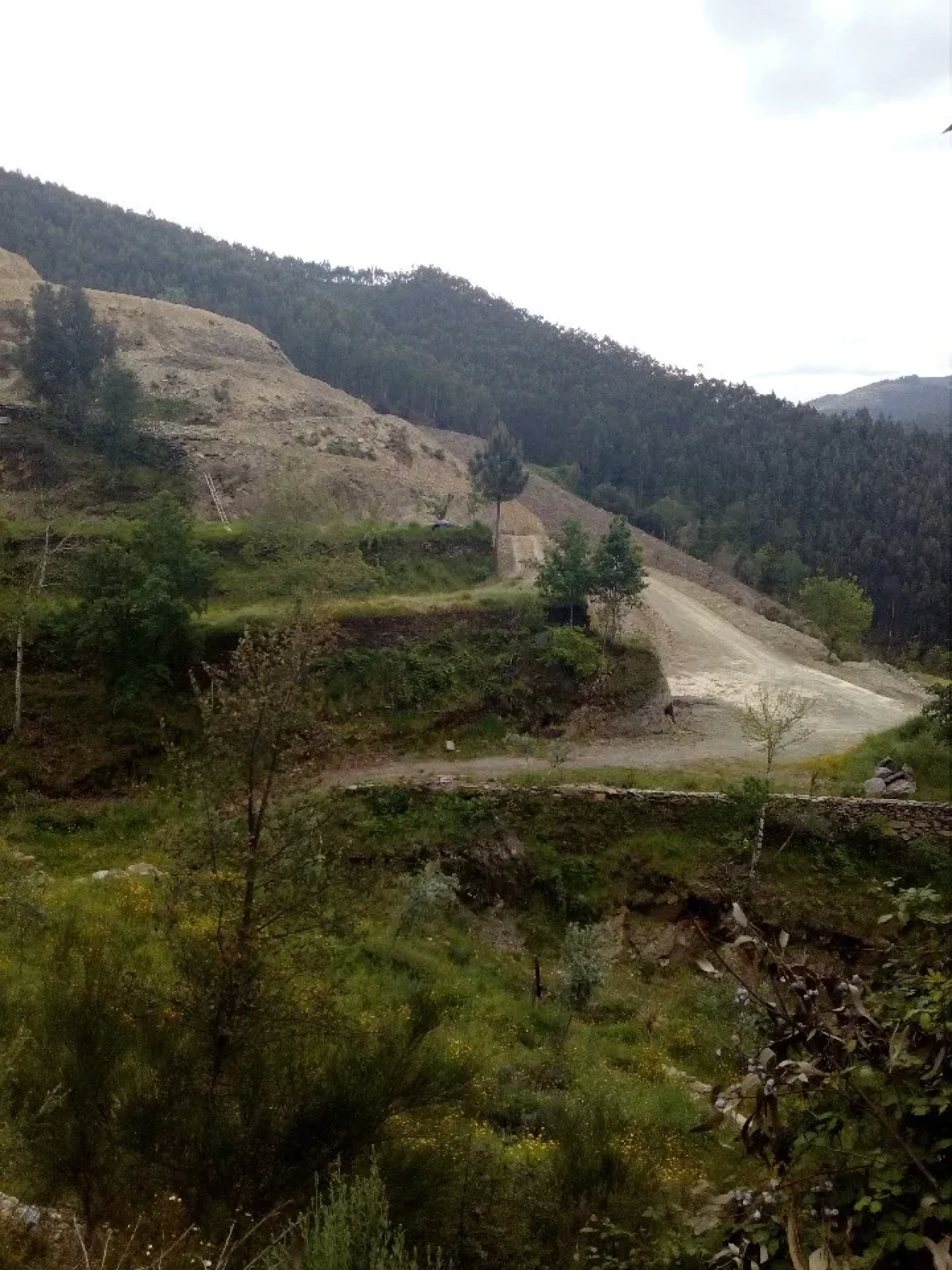 Terreno para Venda em Canelas e Espiunca Foto 10