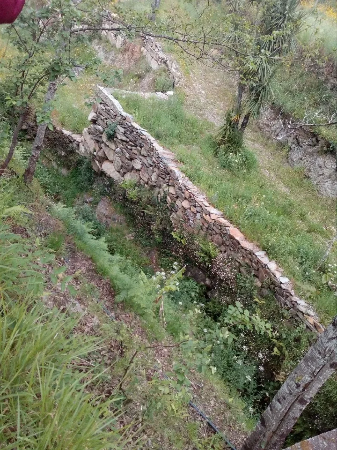 Terreno para Venda em Canelas e Espiunca Foto 7