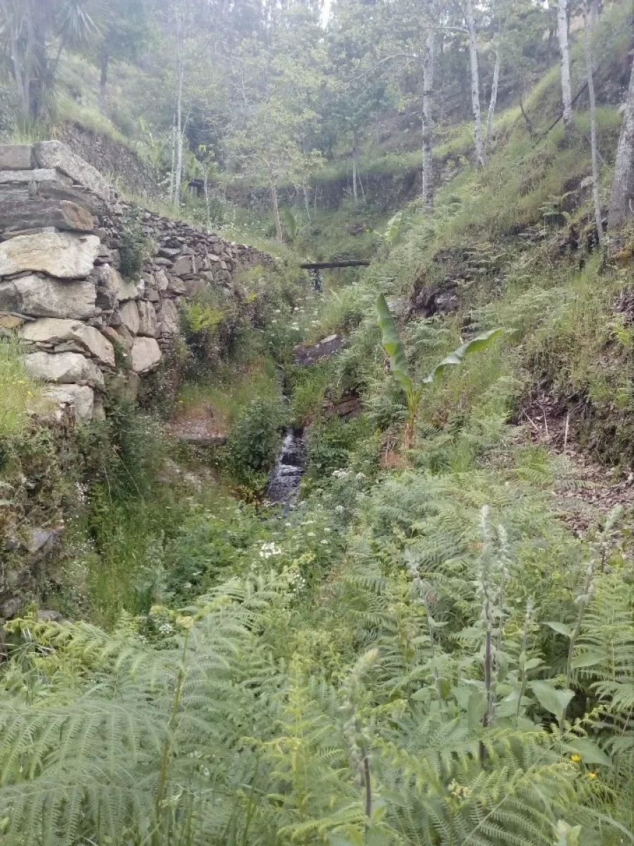 Terreno para Venda em Canelas e Espiunca Foto 15