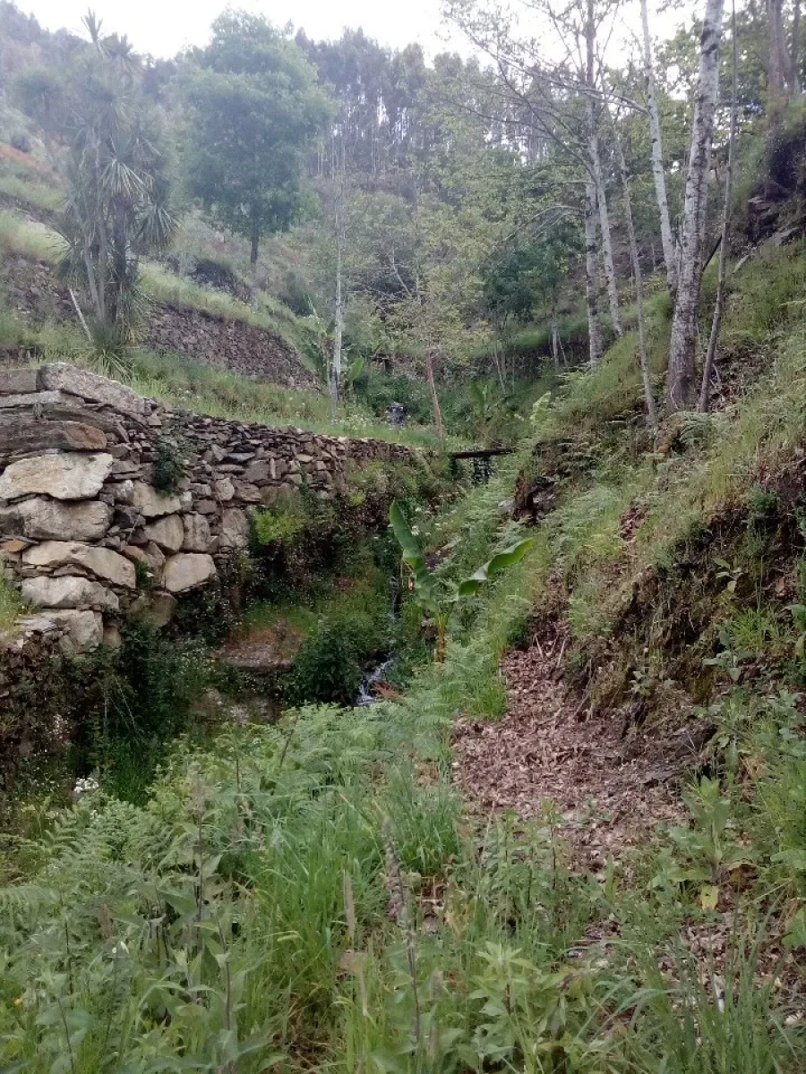 Terreno para Venda em Canelas e Espiunca Foto 14