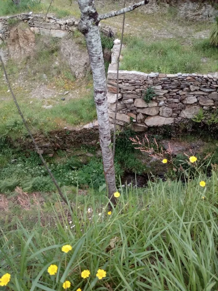 Terreno para Venda em Canelas e Espiunca Foto 5
