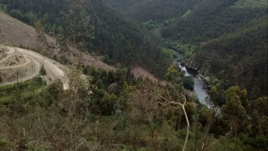 Terreno para Venda em Canelas e Espiunca