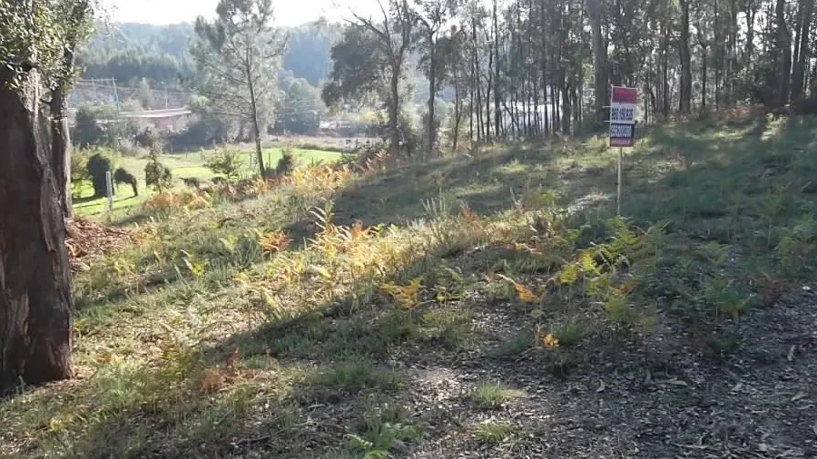 Terreno para Venda em Nogueira do Cravo e Pindelo
