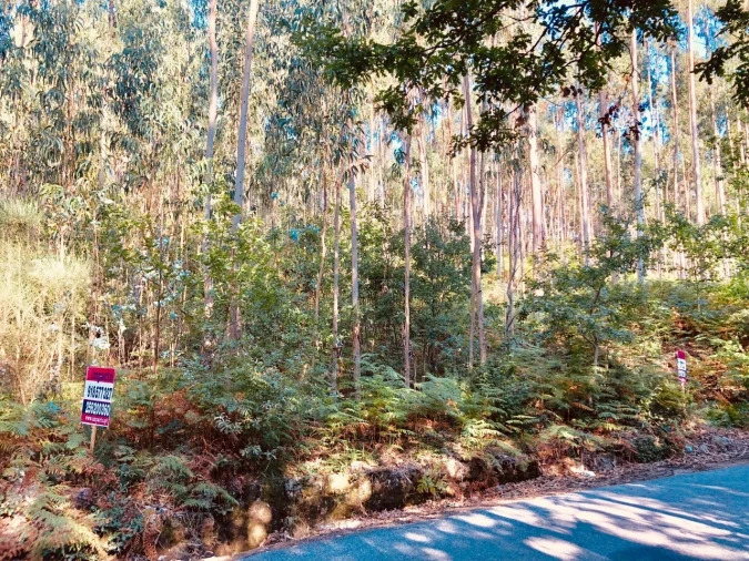 Terreno para Venda em Romariz