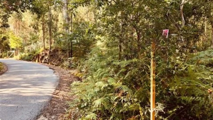 Terreno para Venda em Romariz Foto 4