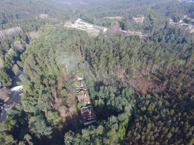 Quinta T16 para Venda em Pinheiro da Bemposta, Travanca e Palmaz Foto 17