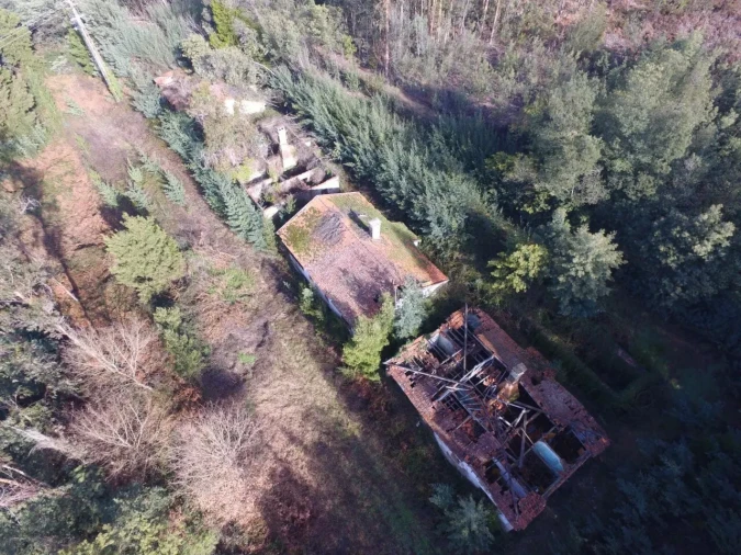 Quinta T16 para Venda em Pinheiro da Bemposta, Travanca e Palmaz Foto 11