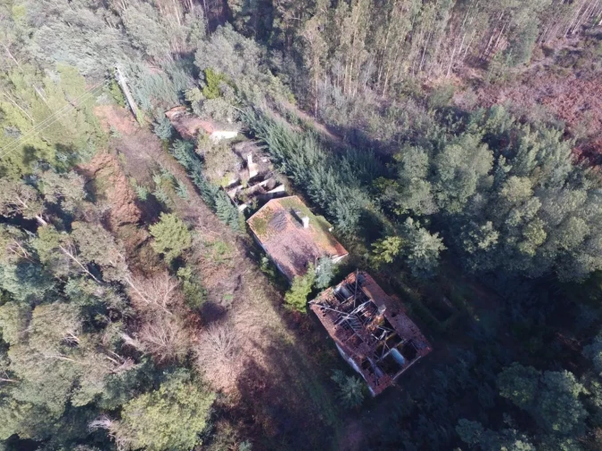 Quinta T16 para Venda em Pinheiro da Bemposta, Travanca e Palmaz Foto 12