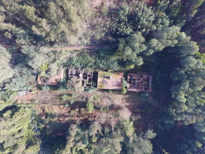 Quinta T16 para Venda em Pinheiro da Bemposta, Travanca e Palmaz Foto 13