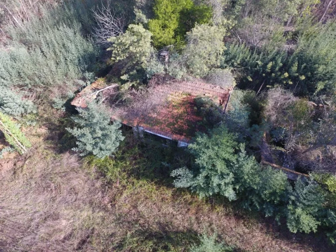 Quinta T16 para Venda em Pinheiro da Bemposta, Travanca e Palmaz Foto 22