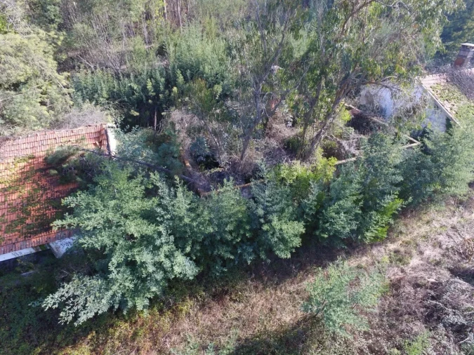 Quinta T16 para Venda em Pinheiro da Bemposta, Travanca e Palmaz Foto 23