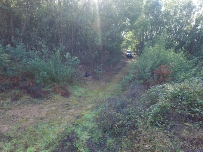 Quinta T16 para Venda em Pinheiro da Bemposta, Travanca e Palmaz Foto 24
