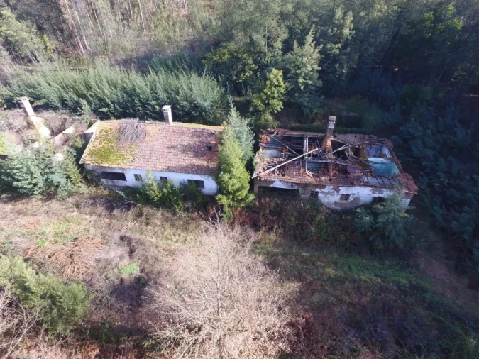 Quinta T16 para Venda em Pinheiro da Bemposta, Travanca e Palmaz Foto 20