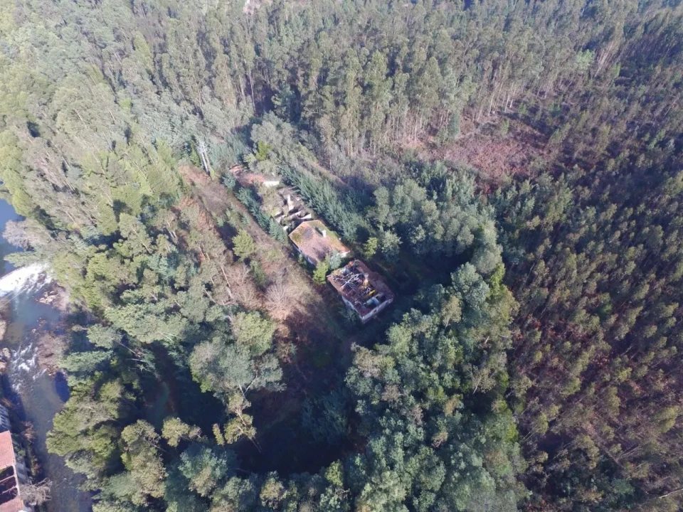 Quinta T16 para Venda em Pinheiro da Bemposta, Travanca e Palmaz Foto 7