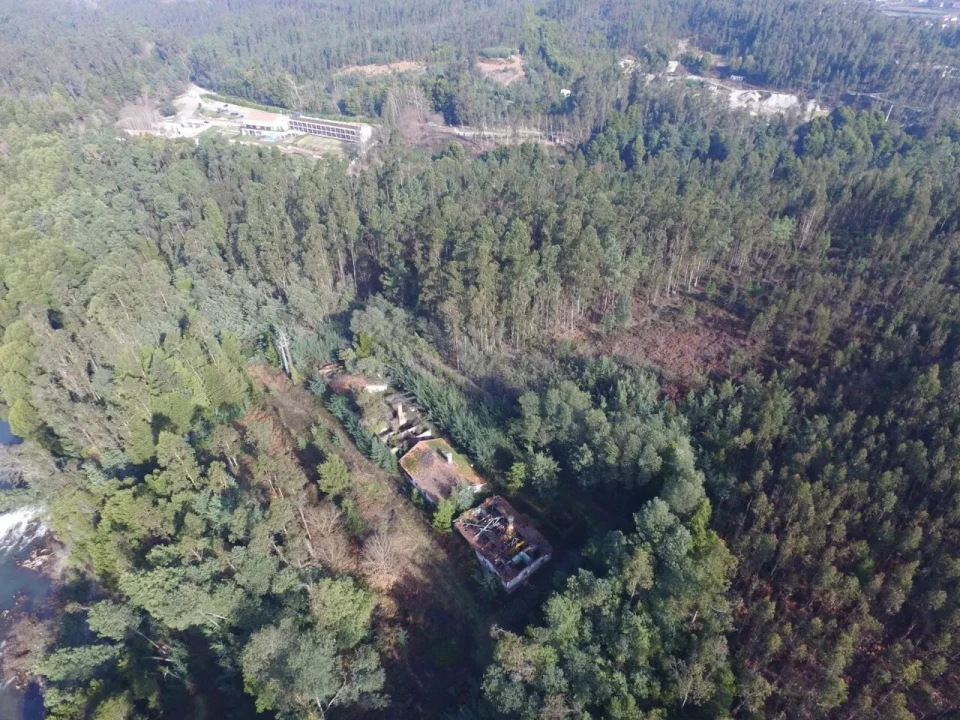 Quinta T16 para Venda em Pinheiro da Bemposta, Travanca e Palmaz Foto 8