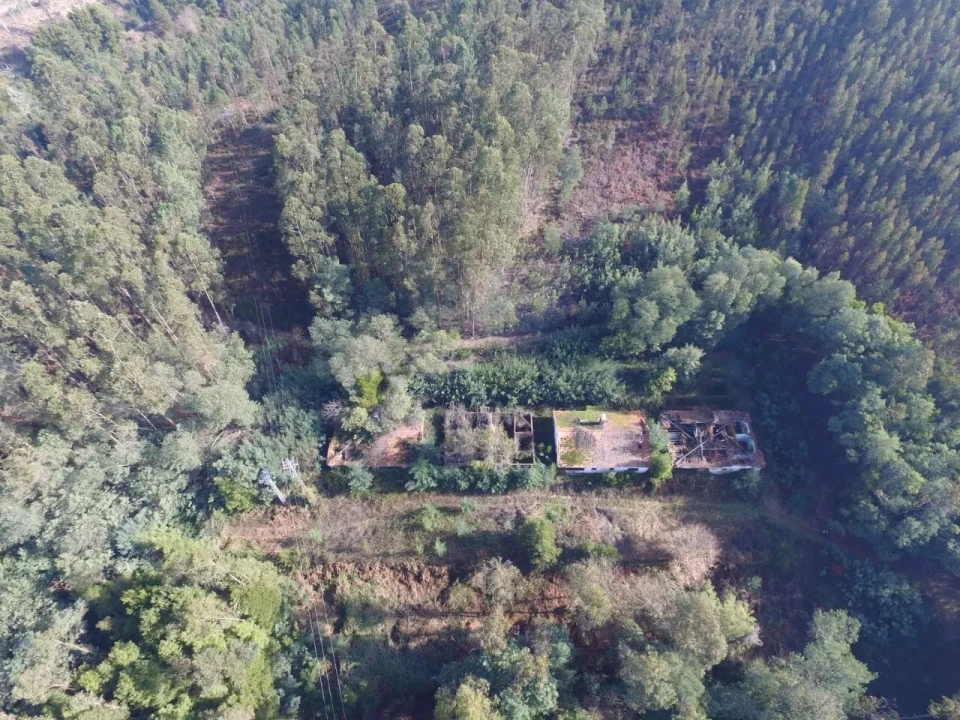 Quinta T16 para Venda em Pinheiro da Bemposta, Travanca e Palmaz Foto 9