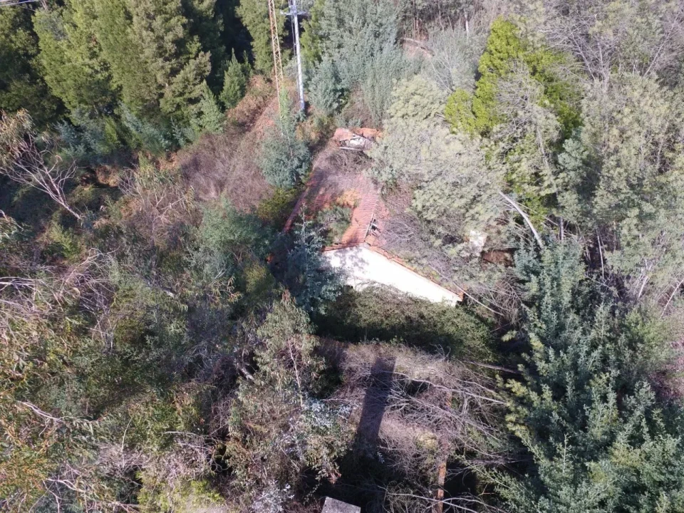 Quinta T16 para Venda em Pinheiro da Bemposta, Travanca e Palmaz Foto 6