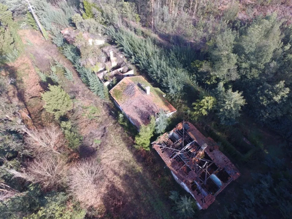 Quinta T16 para Venda em Pinheiro da Bemposta, Travanca e Palmaz Foto 11