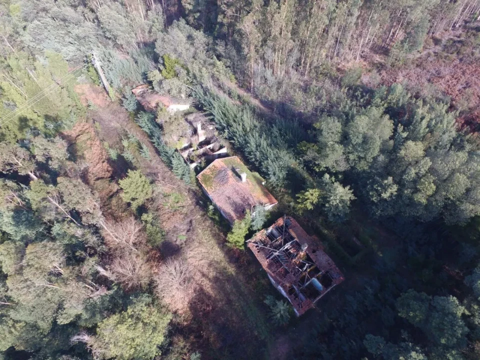 Quinta T16 para Venda em Pinheiro da Bemposta, Travanca e Palmaz Foto 12