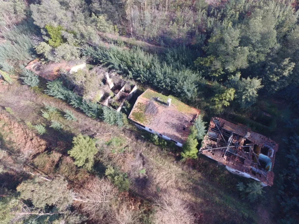 Quinta T16 para Venda em Pinheiro da Bemposta, Travanca e Palmaz Foto 18
