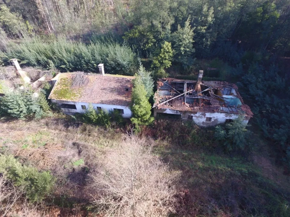 Quinta T16 para Venda em Pinheiro da Bemposta, Travanca e Palmaz Foto 20