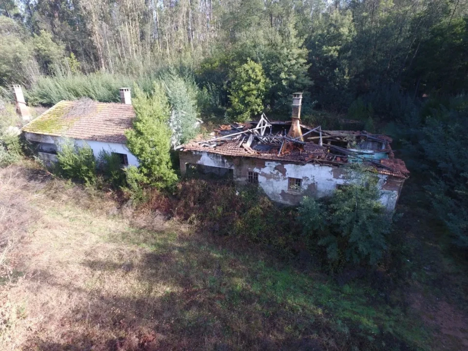 Quinta T16 para Venda em Pinheiro da Bemposta, Travanca e Palmaz Foto 3