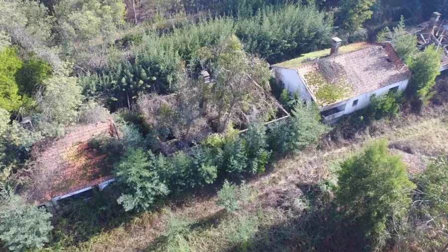 Quinta T16 para Venda em Pinheiro da Bemposta, Travanca e Palmaz