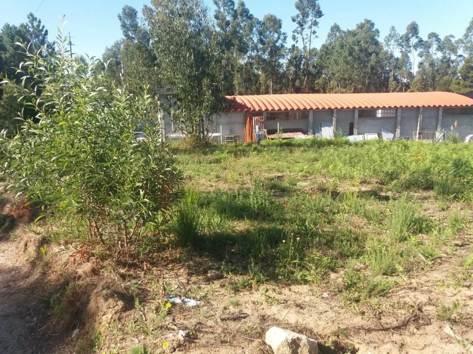 Terreno para Venda em Lobão, Gião, Louredo e Guisande Foto 1