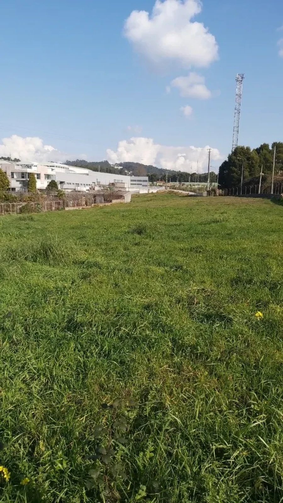 Terreno para Venda em São Paio de Oleiros Foto 1