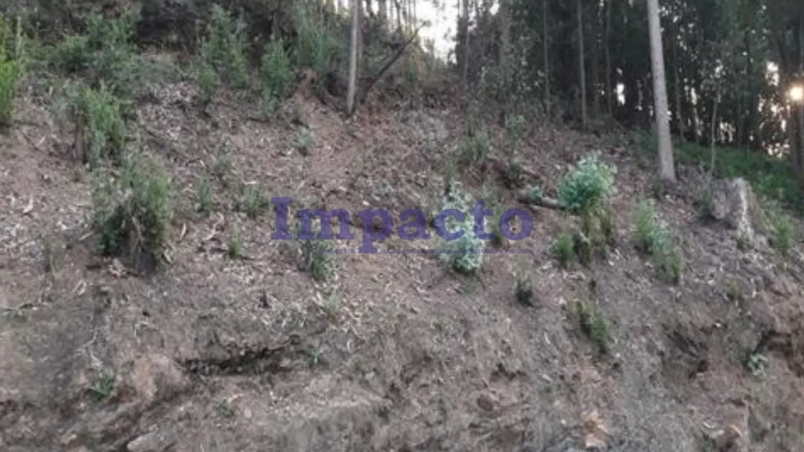 Terreno para Venda em Vila de Cucujães
