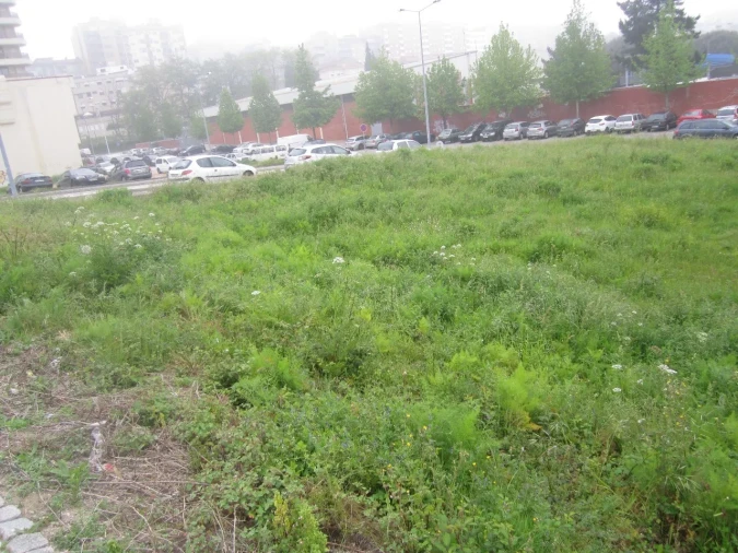 Terreno para Venda em São João da Madeira Foto 3