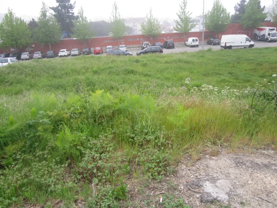 Terreno para Venda em São João da Madeira Foto 2