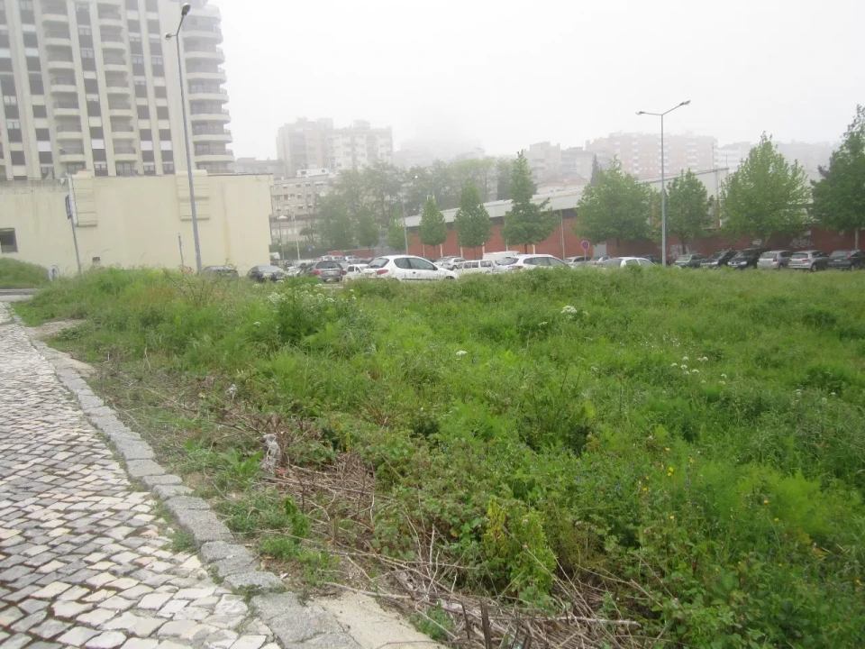 Terreno para Venda em São João da Madeira Foto 4