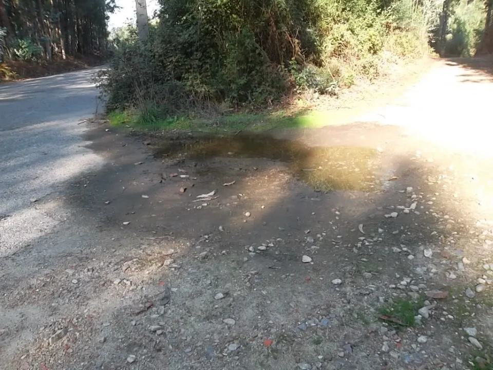 Terreno para Venda em Macieira de Sarnes Foto 1