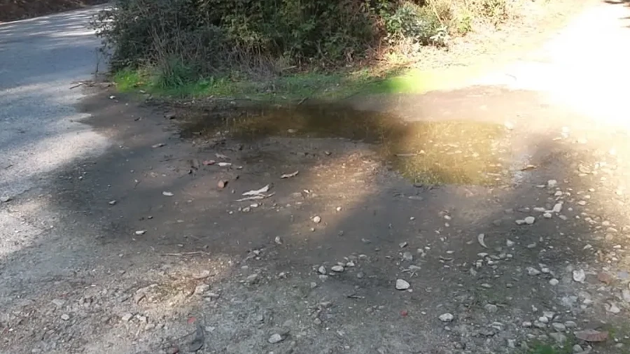 Terreno para Venda em Macieira de Sarnes