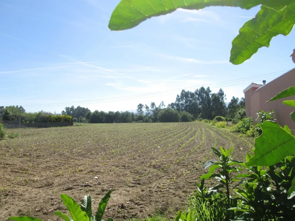 Terreno para Venda em O. Azeméis, Riba-Ul, Ul, Macinhata Seixa, Madail Foto 2