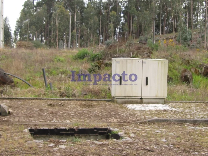 Terreno para Venda em Fajões Foto 5