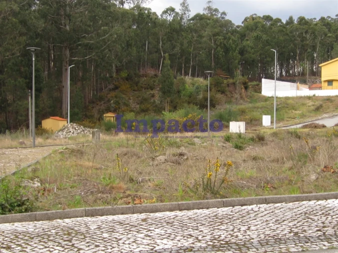 Terreno para Venda em Fajões Foto 9