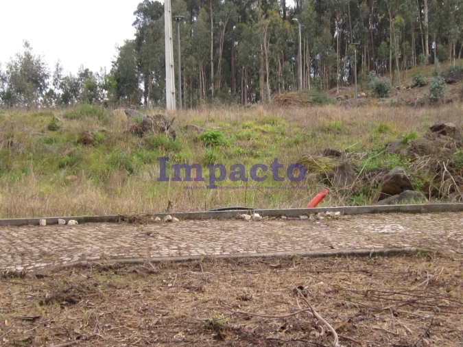 Terreno para Venda em Fajões Foto 4