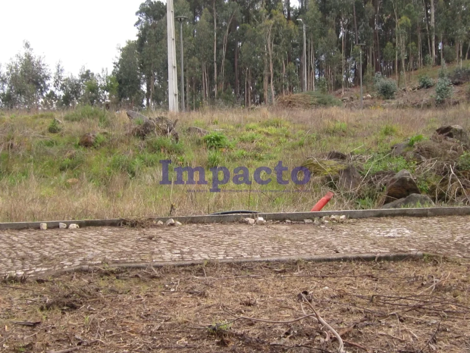 Terreno para Venda em Fajões Foto 4