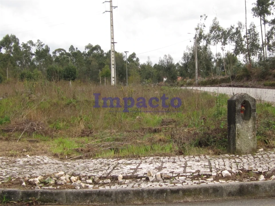 Terreno para Venda em Fajões Foto 6