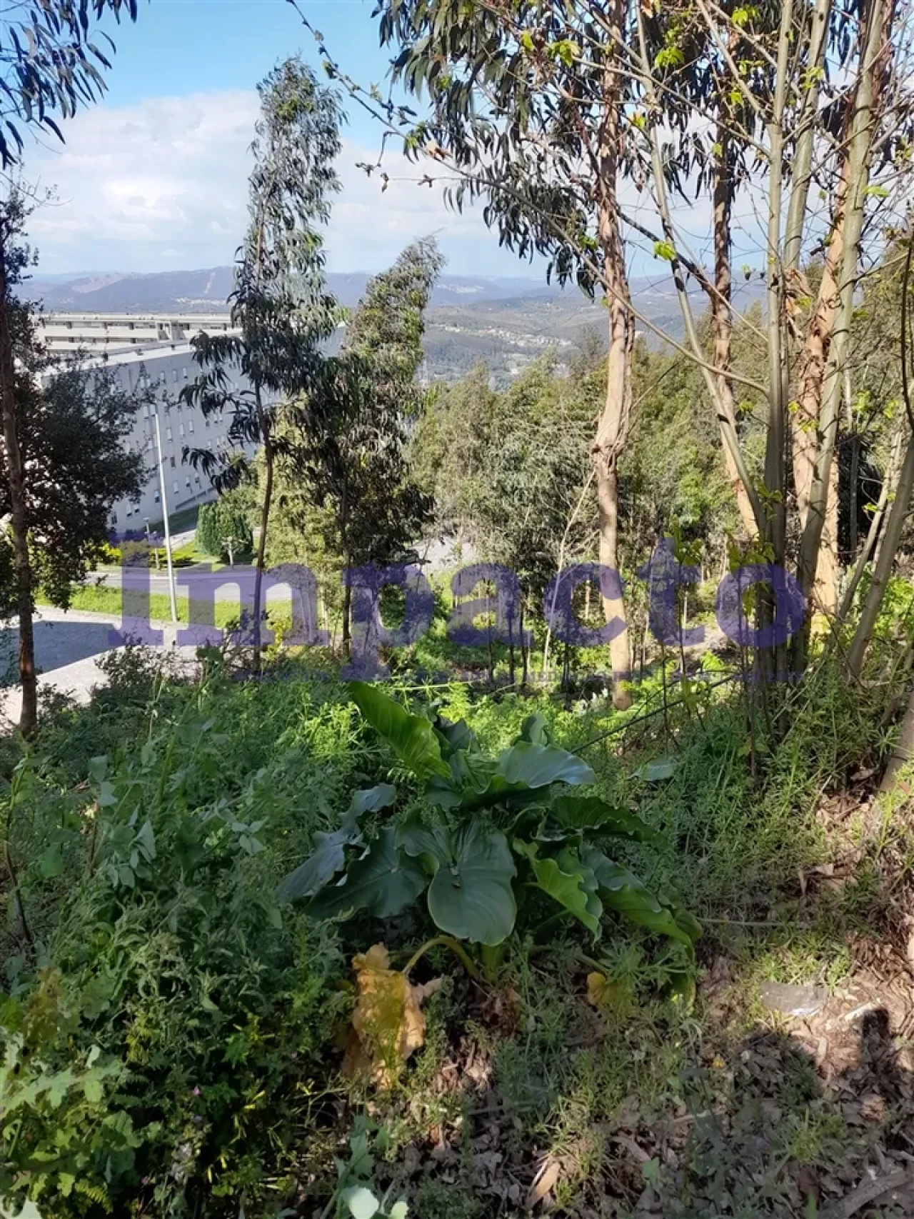 Terreno para Venda em Sandim, Olival, Lever e Crestuma Foto 3