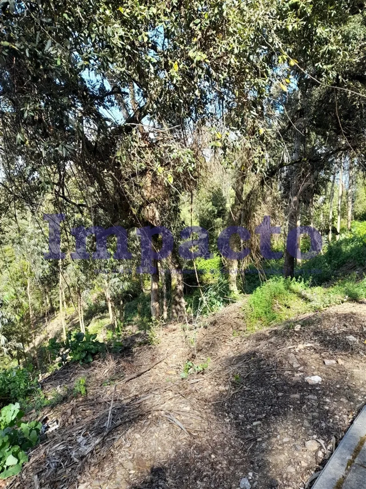 Terreno para Venda em Sandim, Olival, Lever e Crestuma Foto 9
