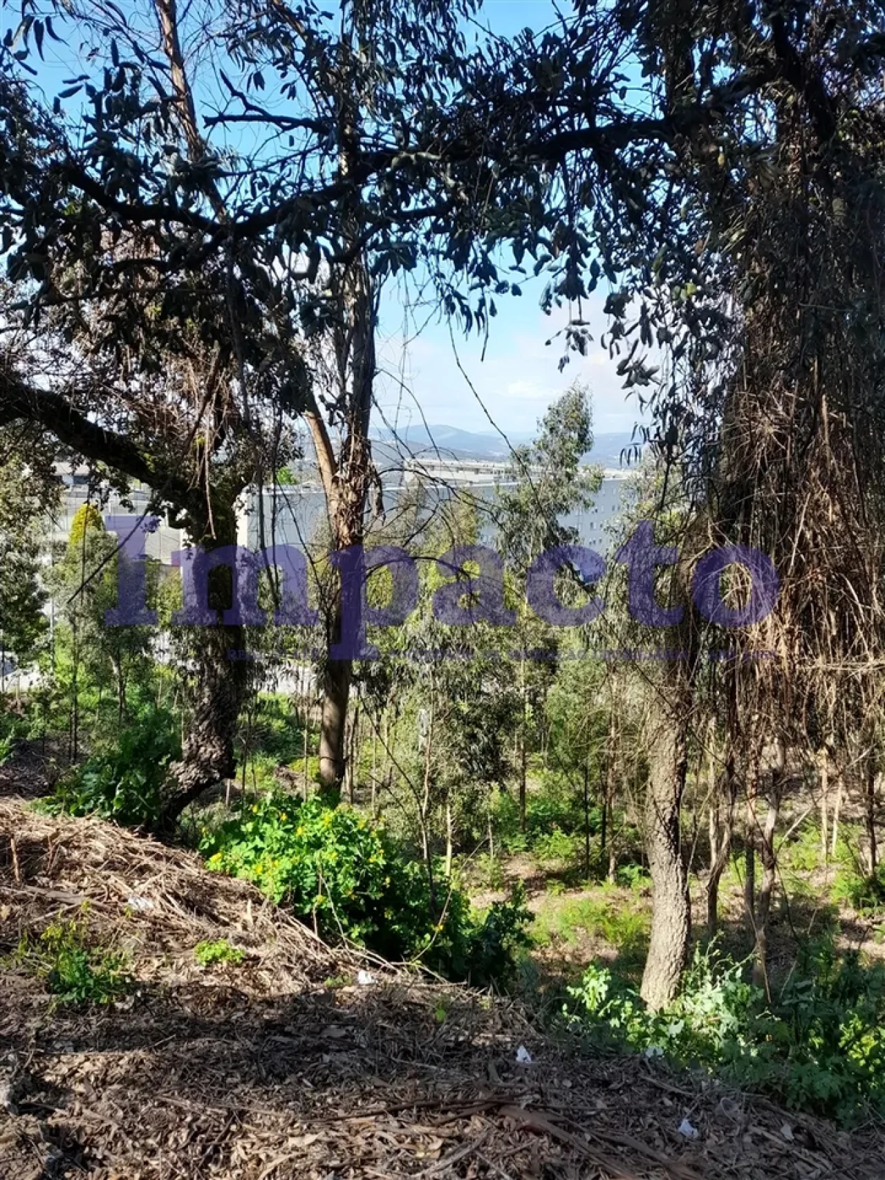 Terreno para Venda em Sandim, Olival, Lever e Crestuma Foto 11