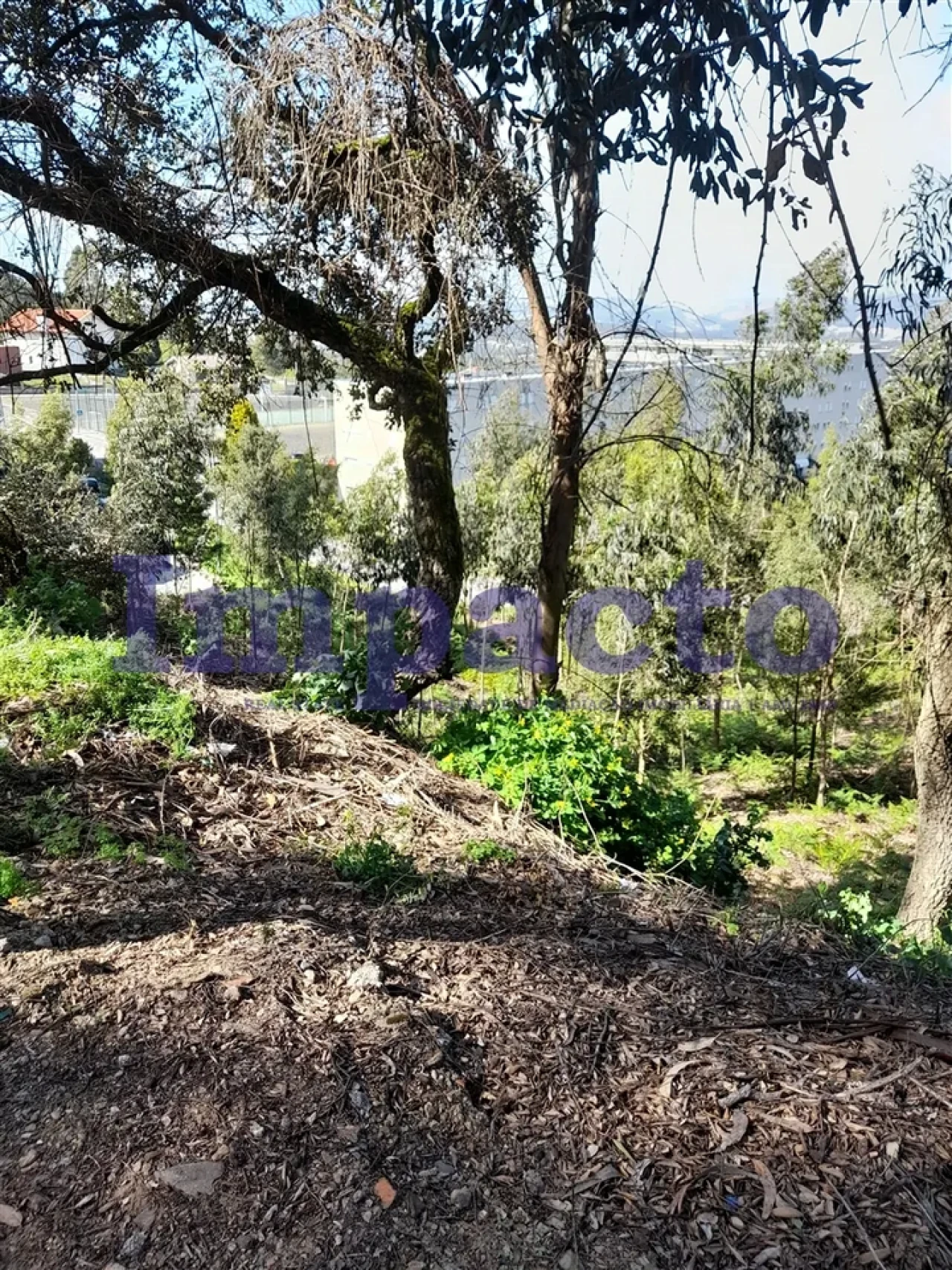 Terreno para Venda em Sandim, Olival, Lever e Crestuma Foto 12
