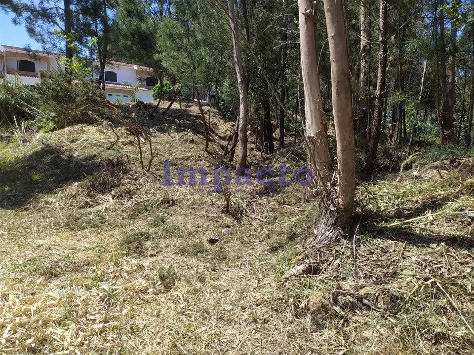 Terreno para Venda em Cesar Foto 9