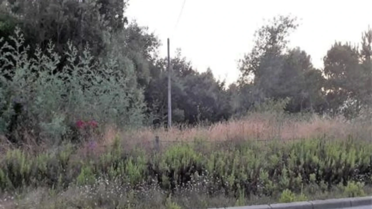 Terreno para Venda em O. Azeméis, Riba-Ul, Ul, Macinhata Seixa, Madail Foto 1